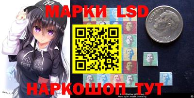 крисы Можга