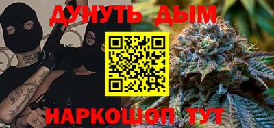 крисы Можга