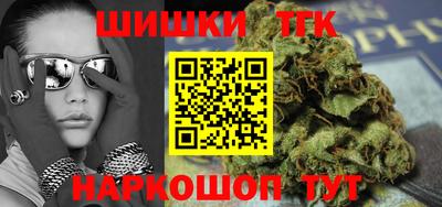крисы Можга