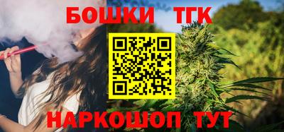 крисы Можга