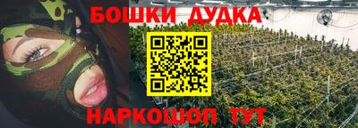крисы Можга