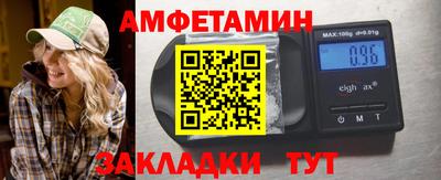 крисы Можга