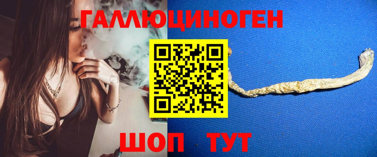 Псилоцибиновые грибы Psilocybe Чусовой